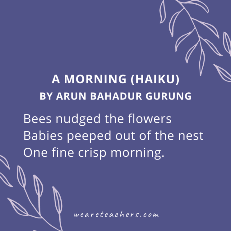 51 Haiku Poems for Kids of All Ages and Reading Levels - Thelivechat.com