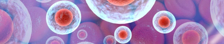 New Services to Study Catabolism in Diabetes