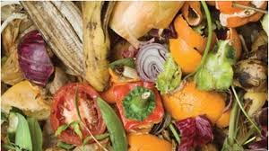 Sustainability in Action: Food Waste Legislation and Recycling Services