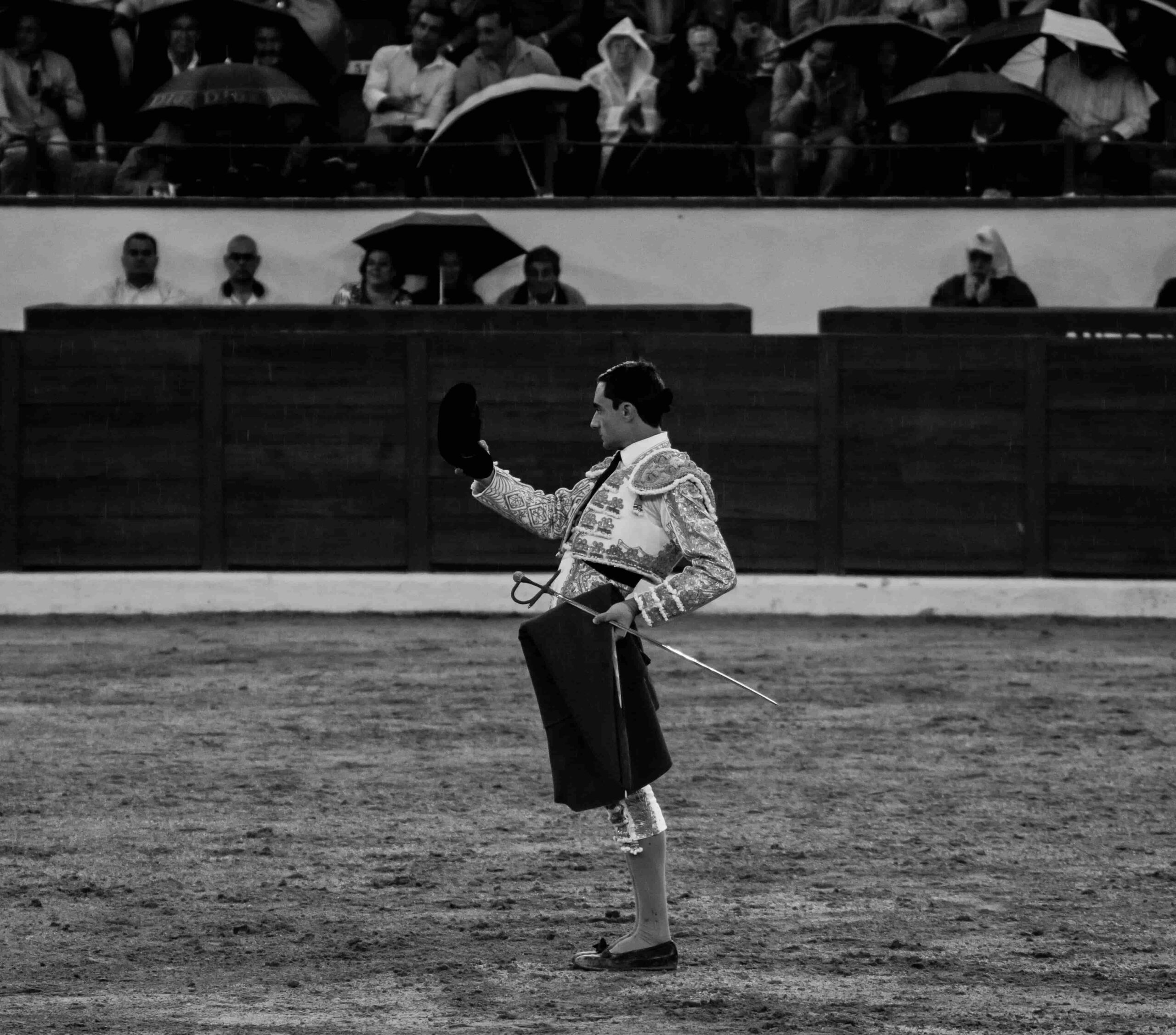 The Art and Controversy of Bullfighting: A Cultural Spectacle Under Scrutiny