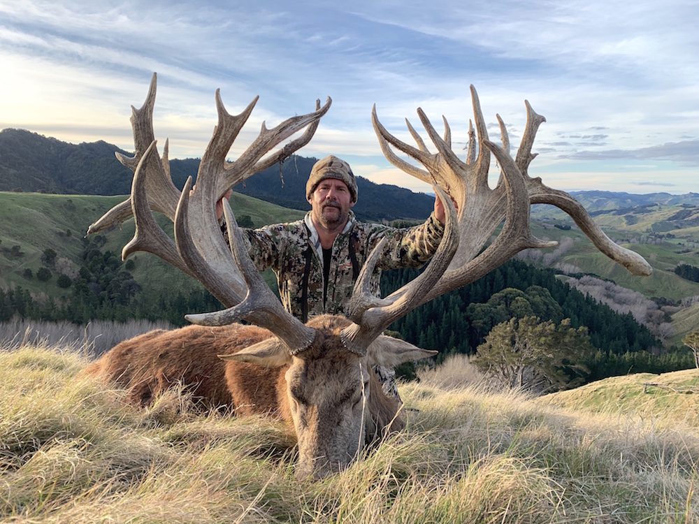 The Ultimate Guide to Red Stag Hunting: Tips, Tactics, and Gear