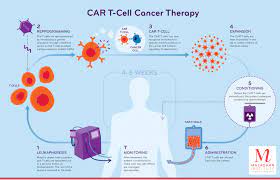 CAR T-Cell Therapy Market Size, Share Analysis, Key Companies, and Forecast To 2030