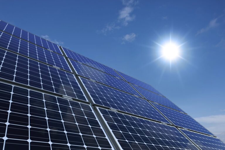 Harnessing Sunshine: Navigating the World of Solar Energy in Florida